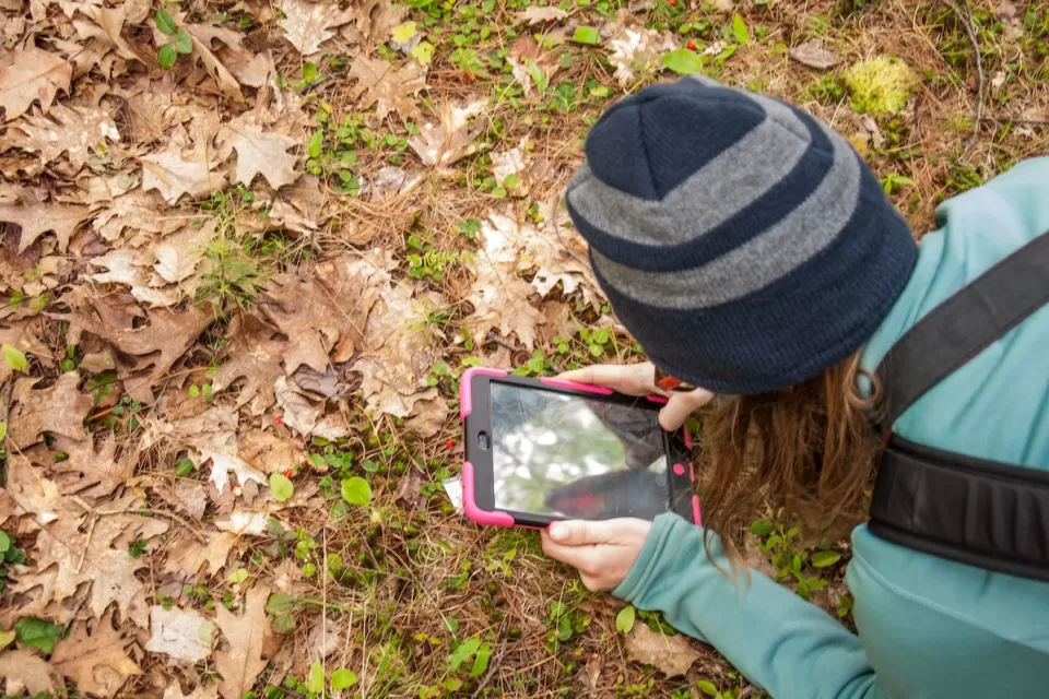 Woman wearing beanie leaning down over grass covered with fall leaves using tablet to identify plants.